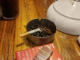 云雀(LARK)(原味红日版)