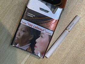 梅比乌斯(咖啡味蒙古版)