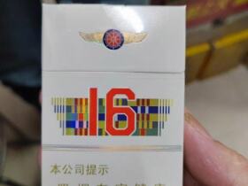 人民大会堂(辽宁16)