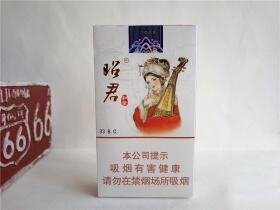 大青山(昭君和亲中支)