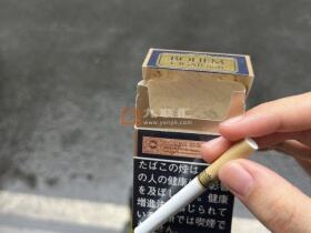 宝亨(CIGAR6号日版)