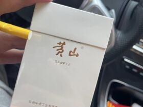 黄山(徽商新视界中支)