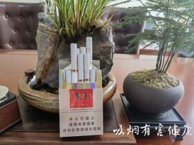 娇子(宽窄燕归来)