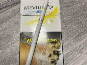 梅比乌斯(硬黄蒙古版)