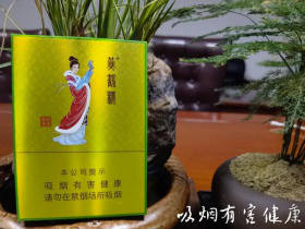 黄鹤楼(昭君故里)