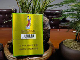 黄鹤楼(昭君故里)