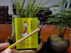 黄鹤楼(昭君故里)