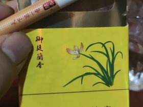 人民大会堂(御廷兰香)