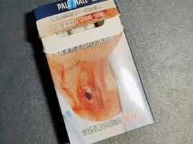 波迈(硬蓝港免版)