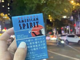 美国精神(绿松石日免版)