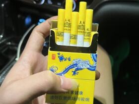 真龙(龙行天下)