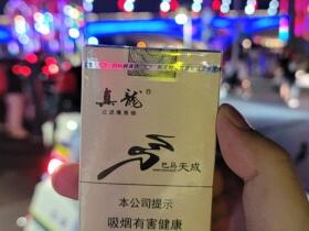 真龙(巴马天成)