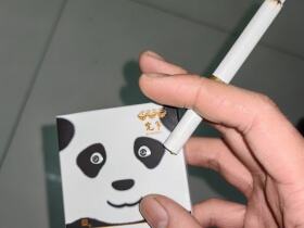 娇子(宽窄国宝)