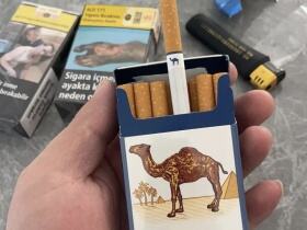 骆驼(硬蓝美免)