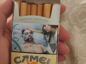 骆驼(硬黄卢森堡免税版)