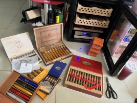 黄鹤楼(雪之梦9号)