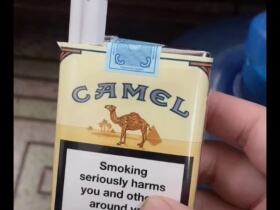 骆驼(无嘴欧盟版)