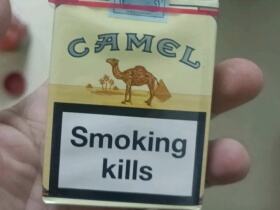 骆驼(无嘴中南半岛免税)