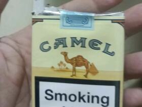 骆驼(无嘴中南半岛免税)