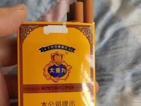 云烟(软大重九)