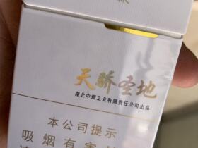 黄鹤楼(硬天骄圣地)