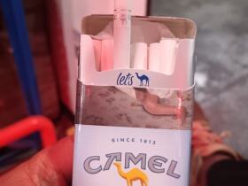 骆驼(硬蓝美免)