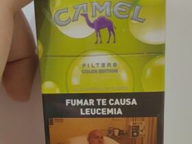 骆驼(硬黄阿根廷版)