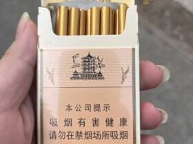 黄鹤楼(1916我的梦)