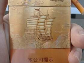 七匹狼(乘风启航)