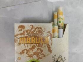 ZEST(marula人猿香蕉侧推)