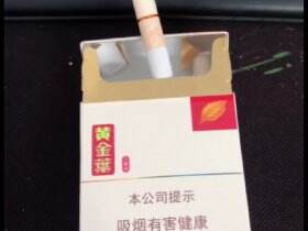 黄金叶(小黄金)