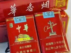 中华(软2024甲辰年龙年贺岁版)