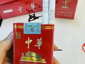 中华(软2024甲辰年龙年贺岁版)