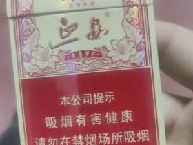 延安(青春岁月)