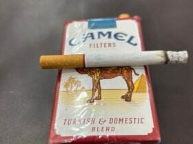 骆驼(软红美税)