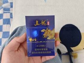 真龙(海韵中支)