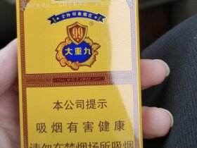 云烟(软大重九)