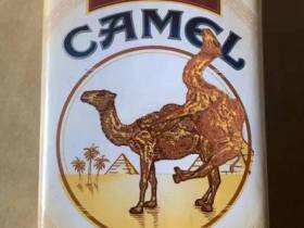 骆驼(软红美税)