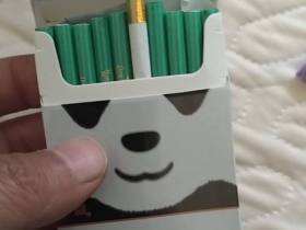 娇子(宽窄国宝)