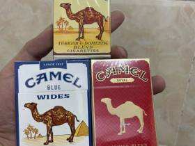 骆驼(皇家硬红)