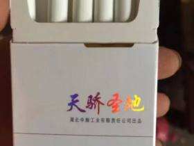 黄鹤楼(硬天骄圣地)