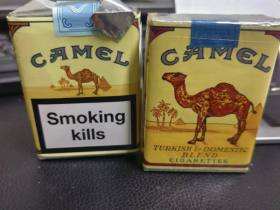 骆驼(无嘴中南半岛免税)