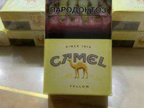 骆驼(硬黄哈版)