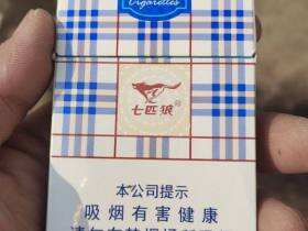 七匹狼(蓝带中支)