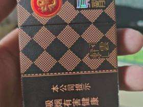 真龙(轩云新版)