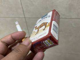 骆驼(软红美税)