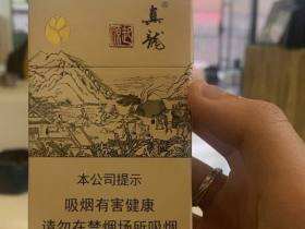 真龙(起源金花茶版)