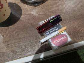 Fortuna(Red Line西班牙完税版)