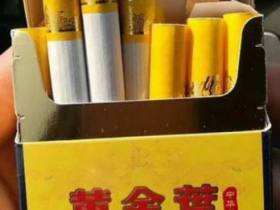 黄金叶(中华龙)