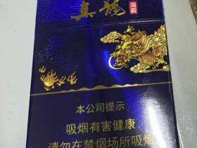 真龙(海韵中支)